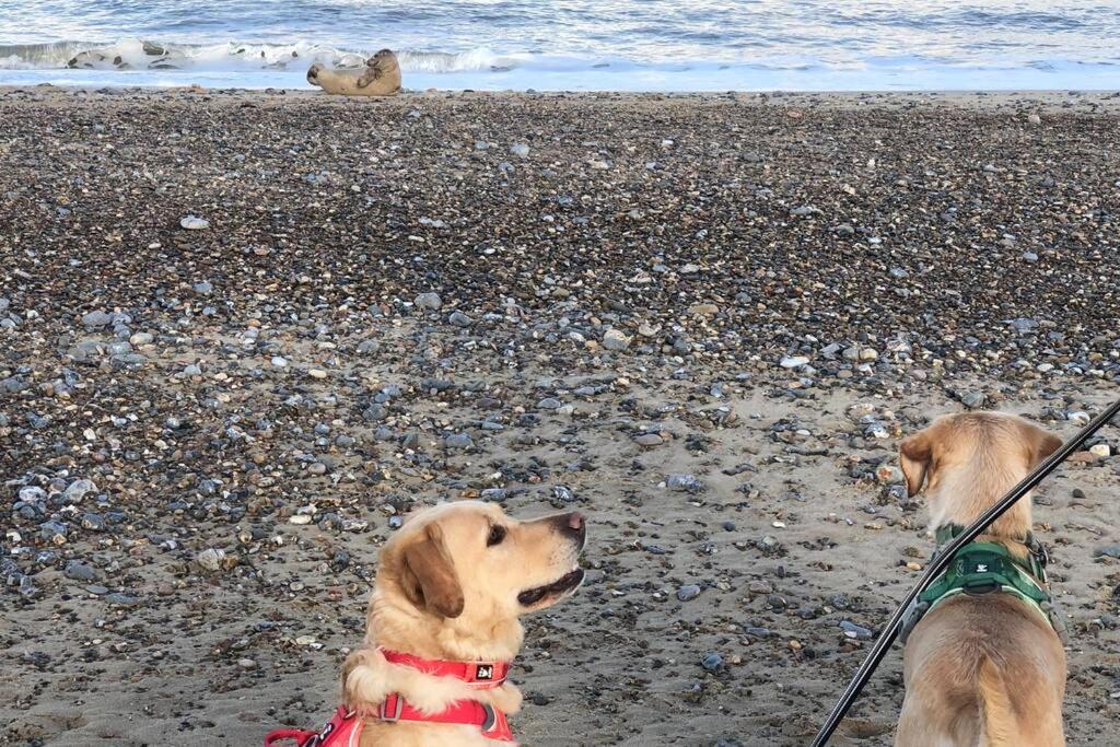 Dog Friendly Cottage 2 Mins To Beach With Hot Tub And Zappi Ev Lessingham Exteriér fotografie