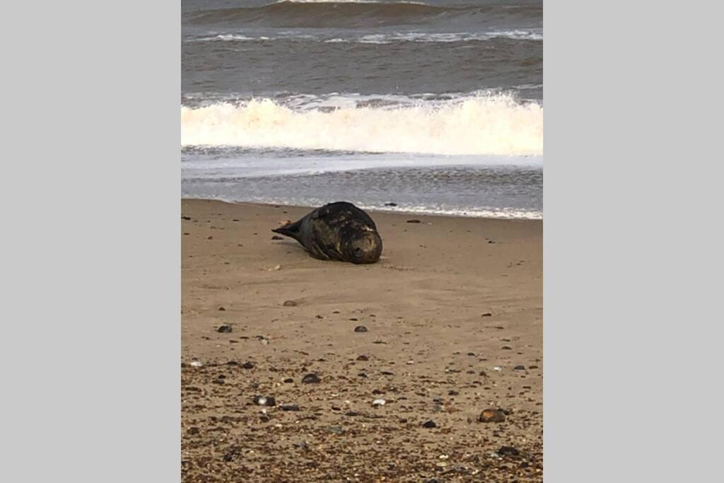 Dog Friendly Cottage 2 Mins To Beach With Hot Tub And Zappi Ev Lessingham Exteriér fotografie
