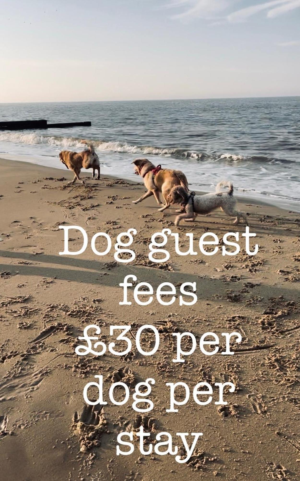 Dog Friendly Cottage 2 Mins To Beach With Hot Tub And Zappi Ev Lessingham Exteriér fotografie
